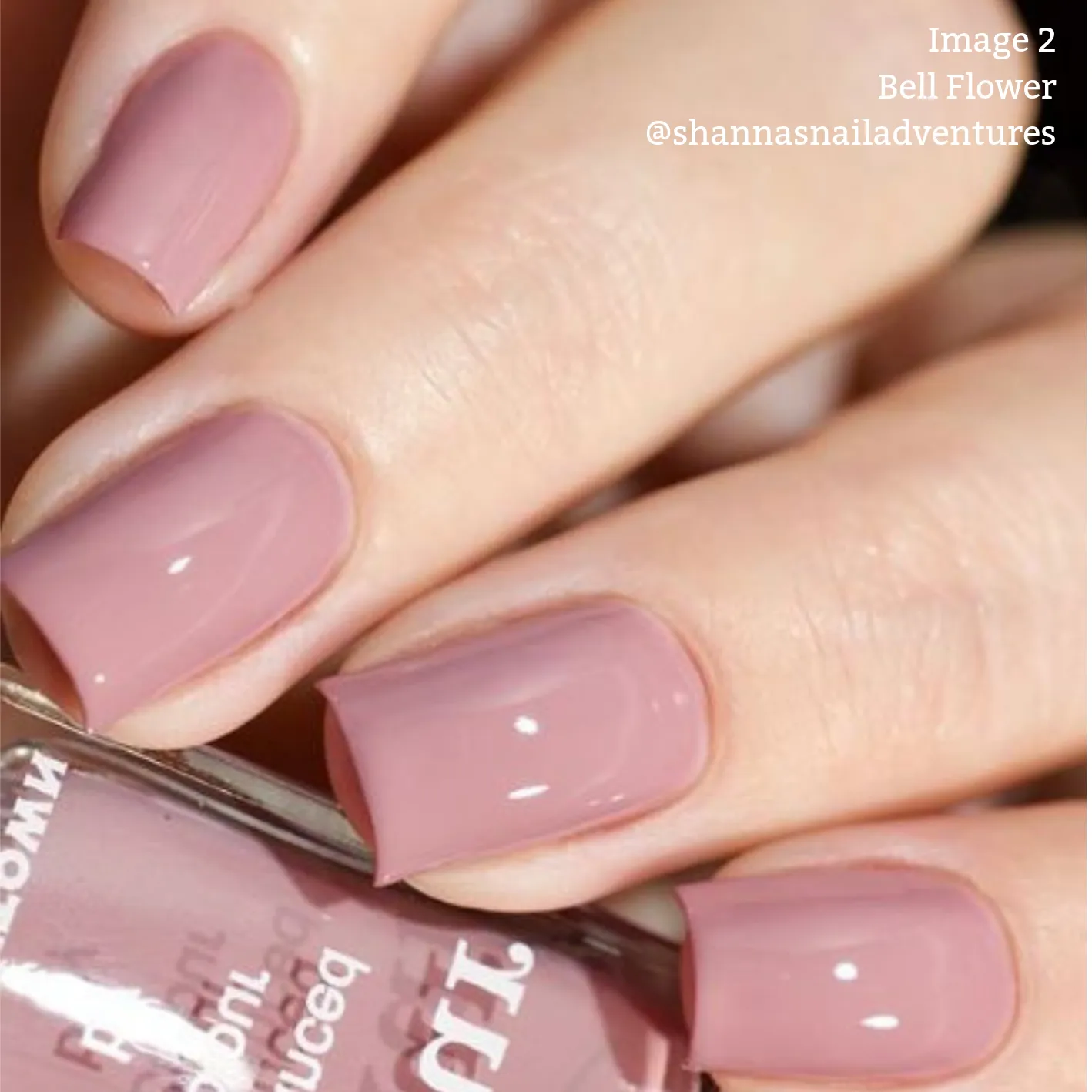 Bell Flower Nail Color | Gel-Like Nail Polish - Clean Beauty