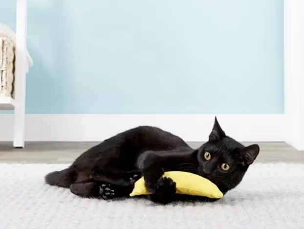 Yeowww! Catnip Banana